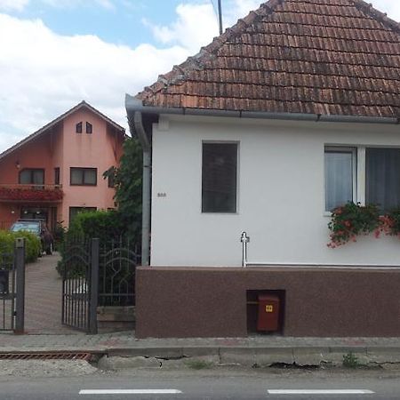 Casuta Andrey & Dan Villa Mihai Viteazu  Exteriör bild
