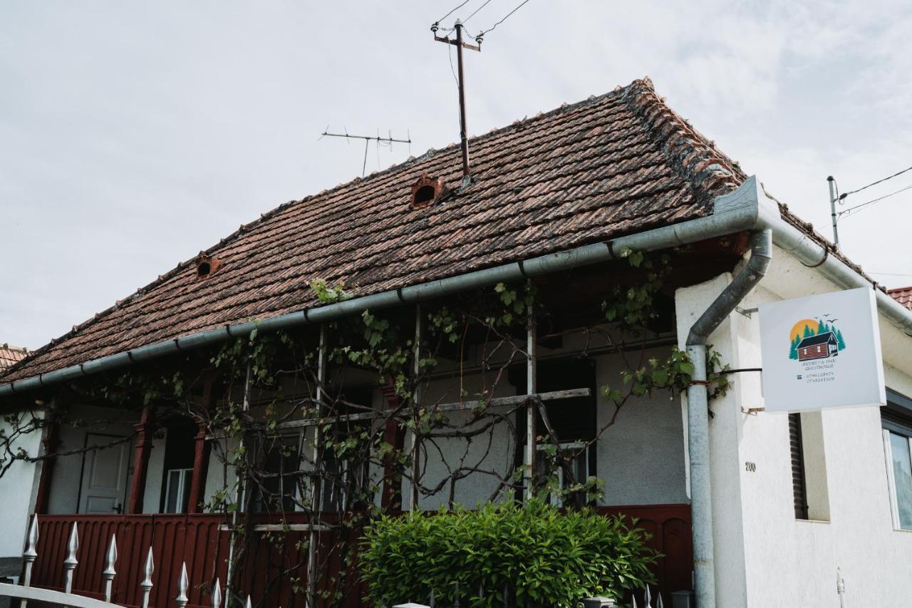 Casuta Andrey & Dan Villa Mihai Viteazu  Exteriör bild