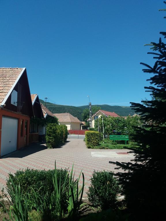 Casuta Andrey & Dan Villa Mihai Viteazu  Exteriör bild